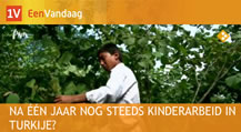 kinderarbeid